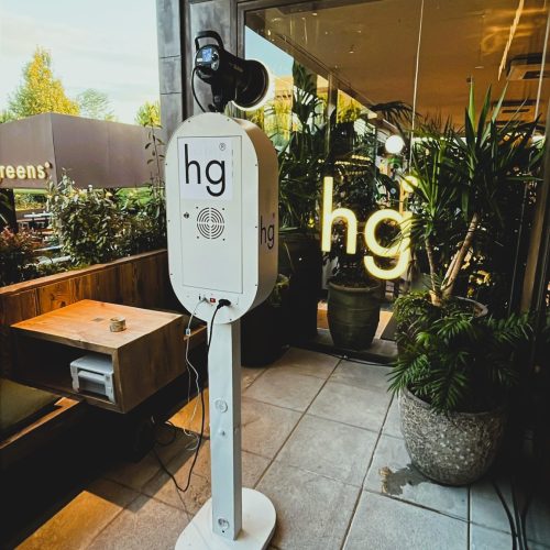 honest green apertura local
